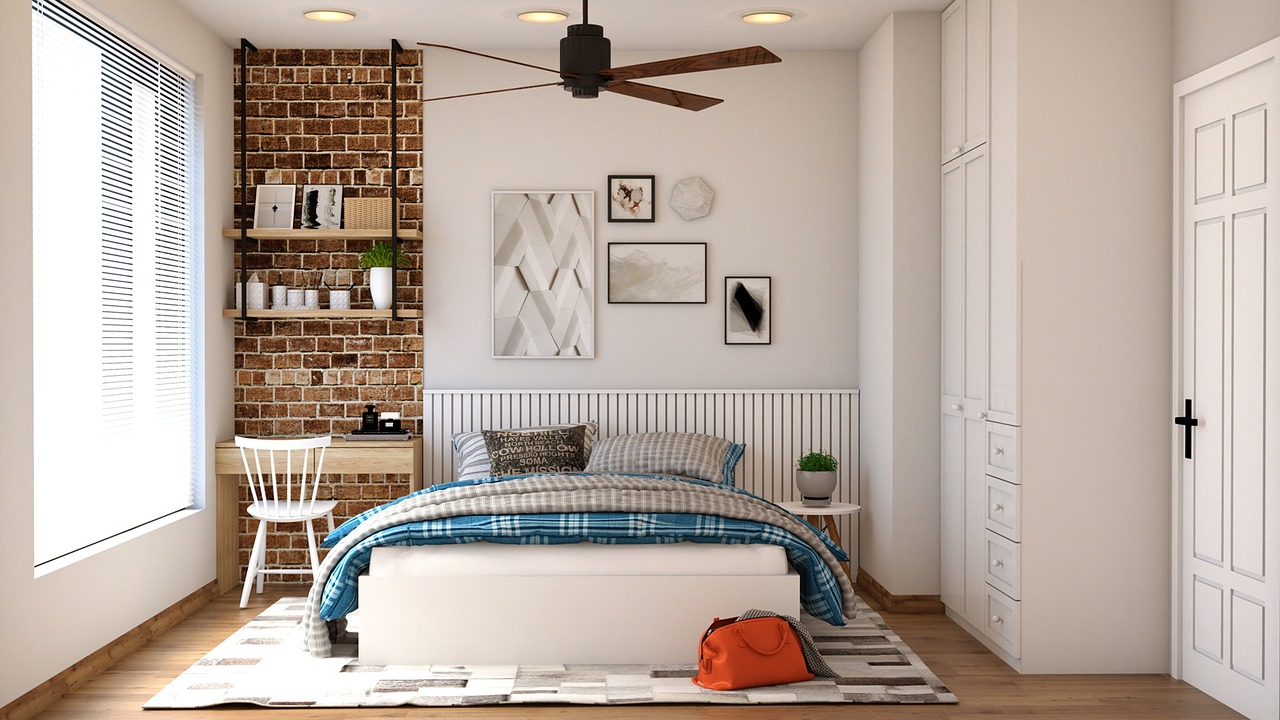 Plante verte dans une chambre ou un interieur.
