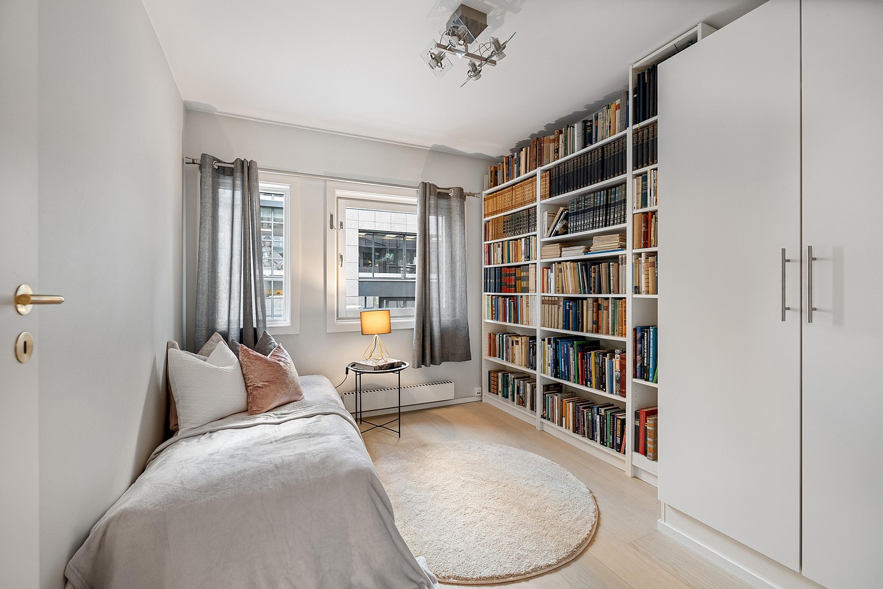 Plante verte dans une chambre ou un interieur.